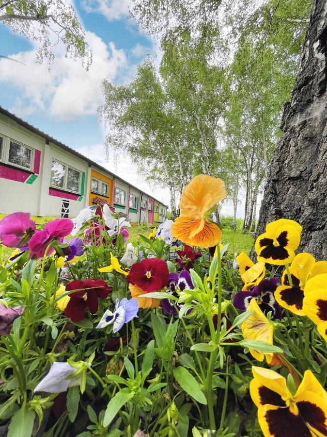 Koza i Brzoza, domki z kontenerów Piechowice  Zewnętrze zdjęcie